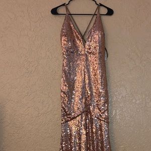 Rose Gold long maxi dress.